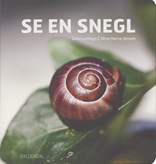 Se en snegl