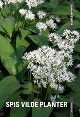 Danmarks natur - Spis vilde planter
