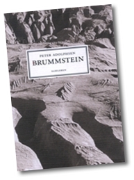 Brummstein