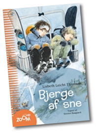 Bjerge af sne