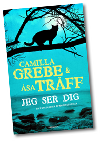 Jeg ser dig