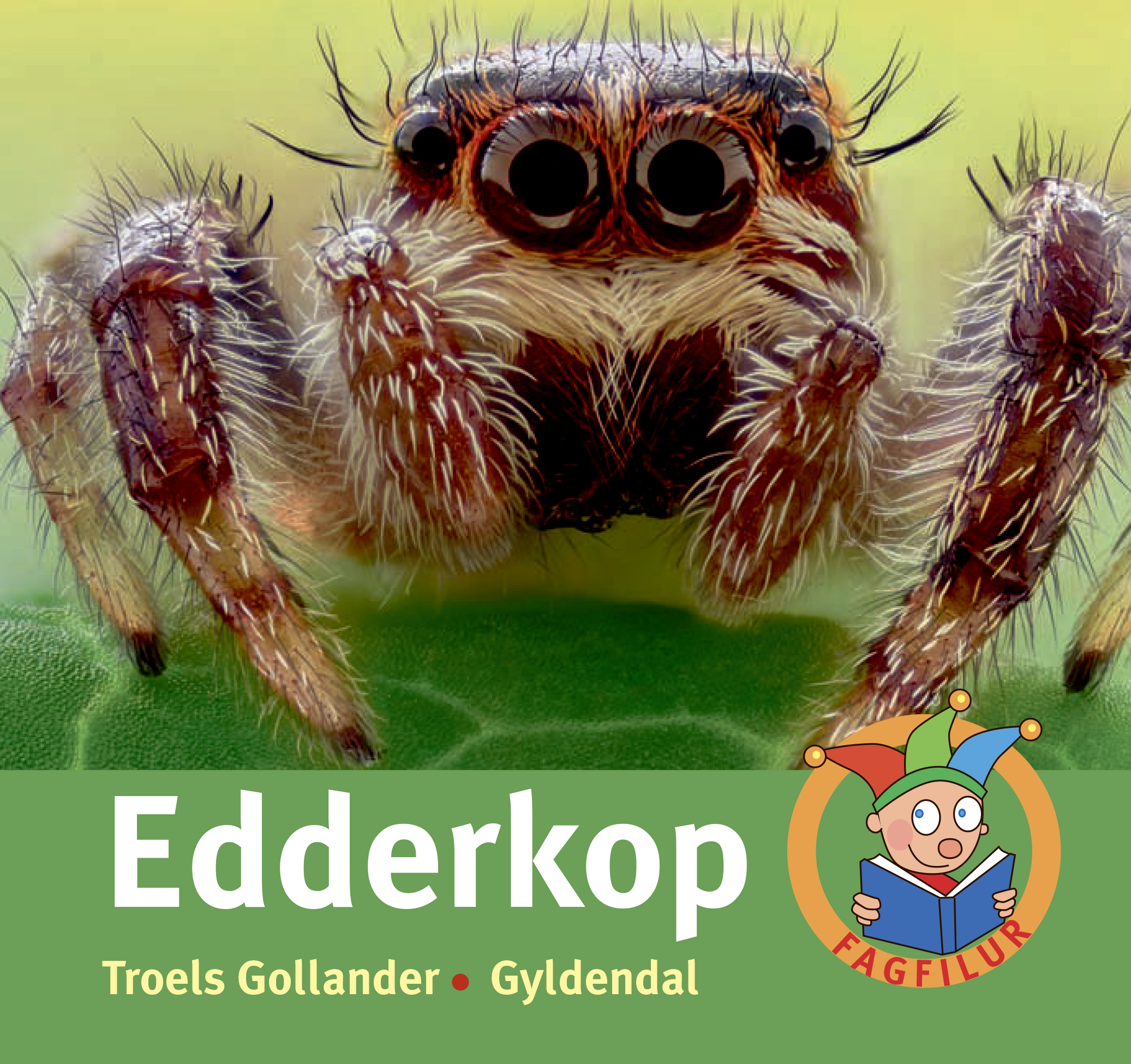 Edderkop af Troels Gollander
