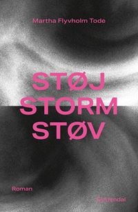 Støj, storm, støv