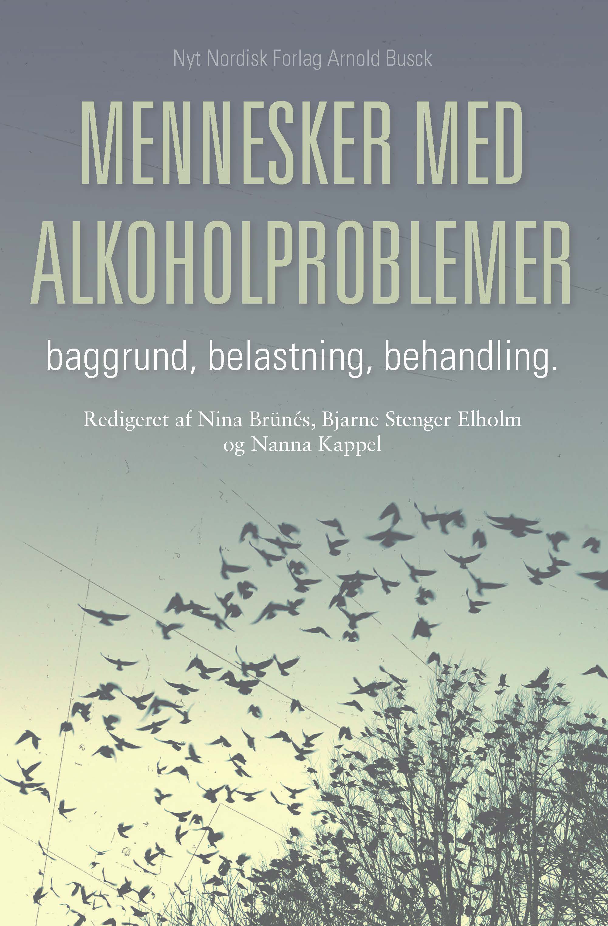 Mennesker Med Alkoholproblemer (i-bog) Af Anette Søgaard Nielsen M.fl.