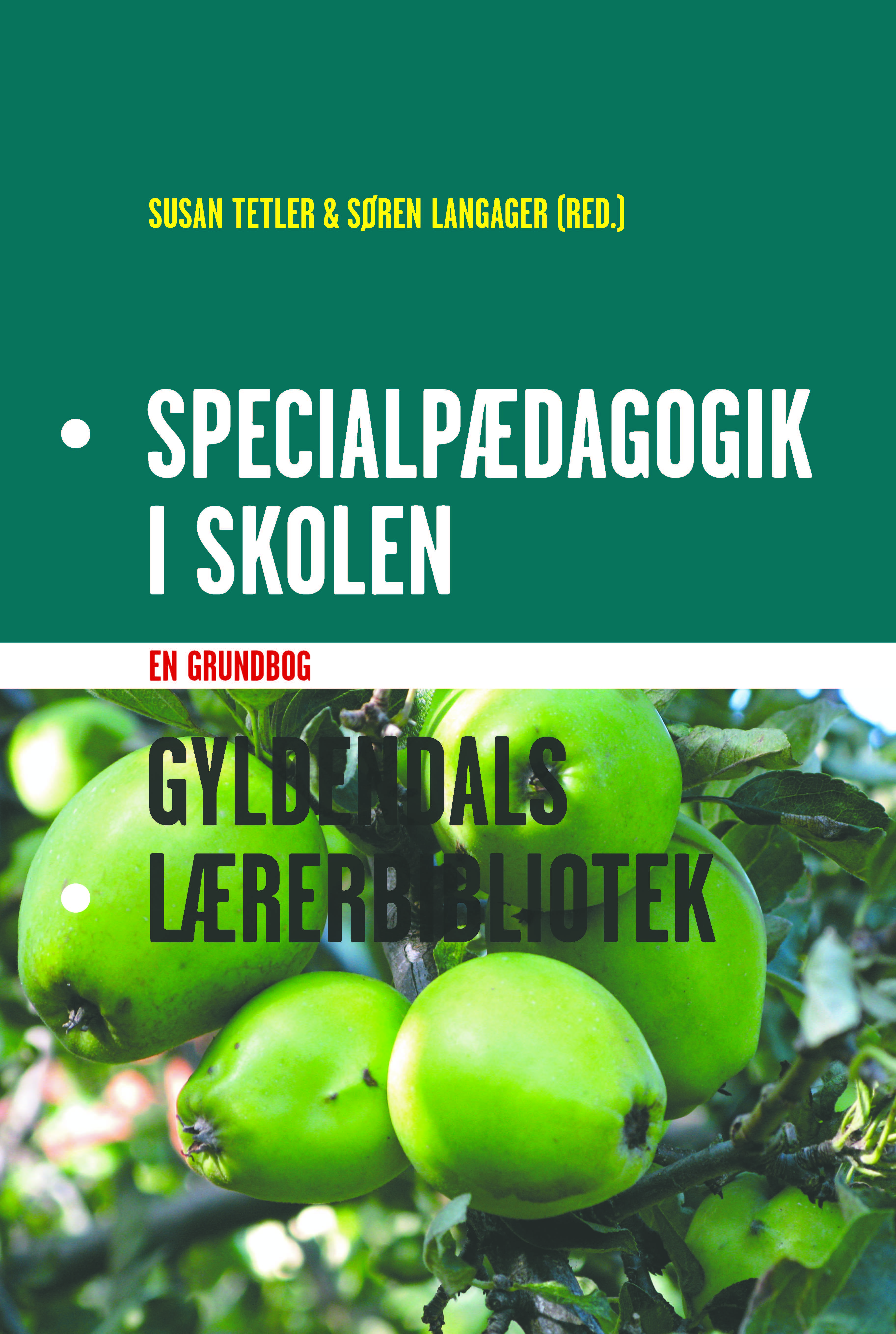 Specialpædagogik i skolen