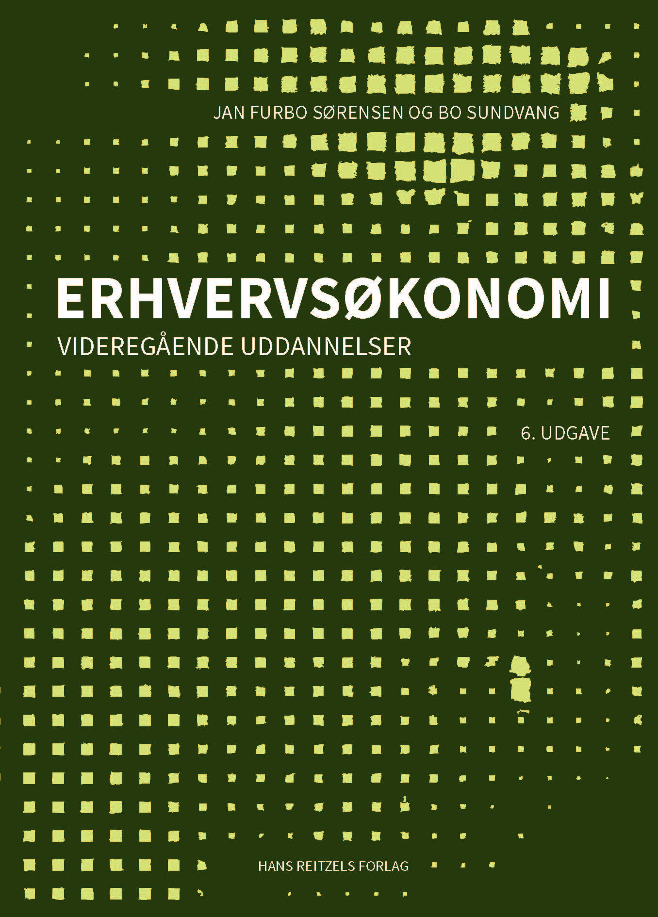 Erhvervsøkonomi - videregående uddannelser, 6. udgave