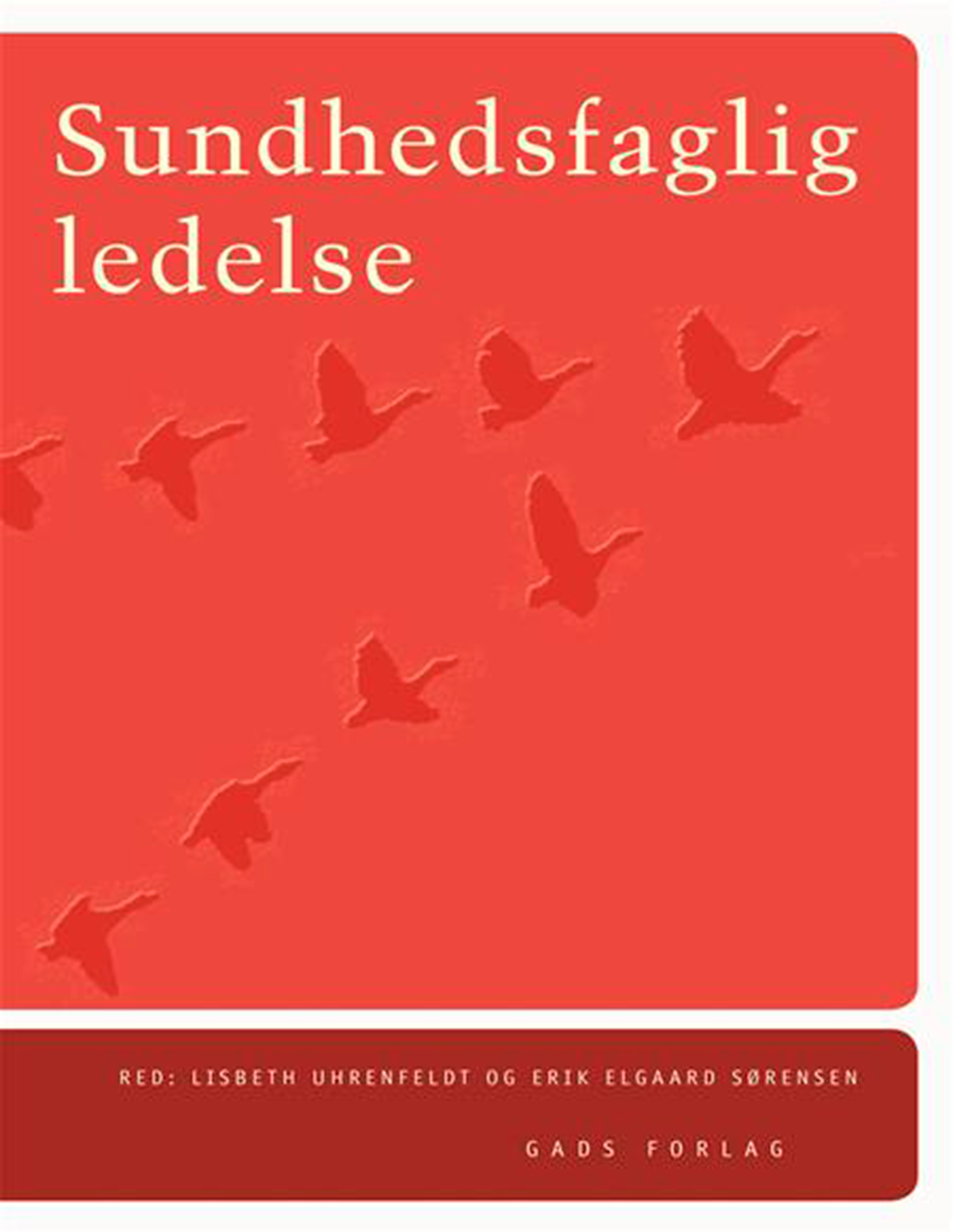 Sundhedsfaglig ledelse