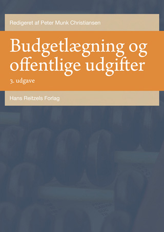 Budgetlægning og offentlige udgifter
