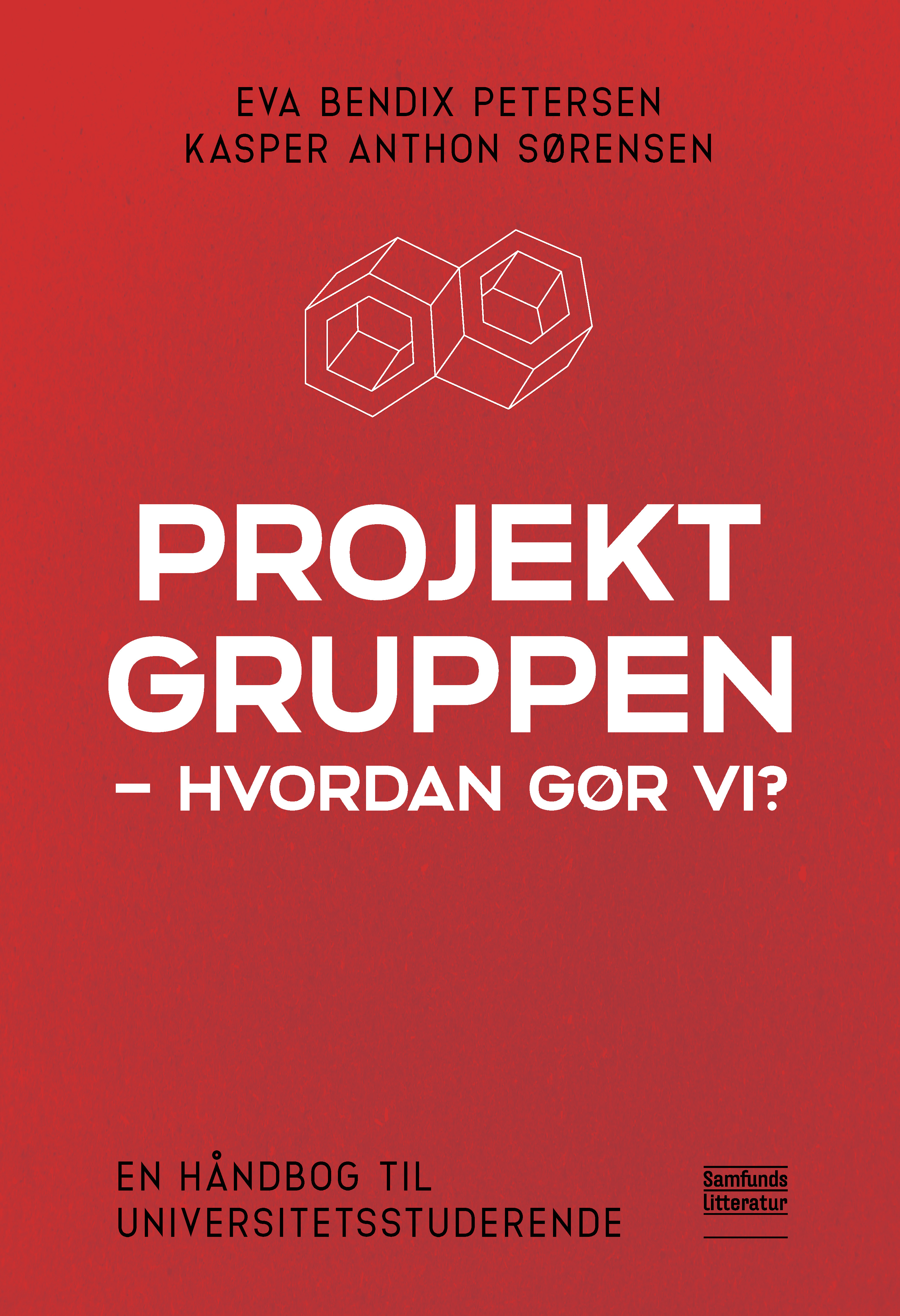 Projektgruppen - hvordan gør vi?