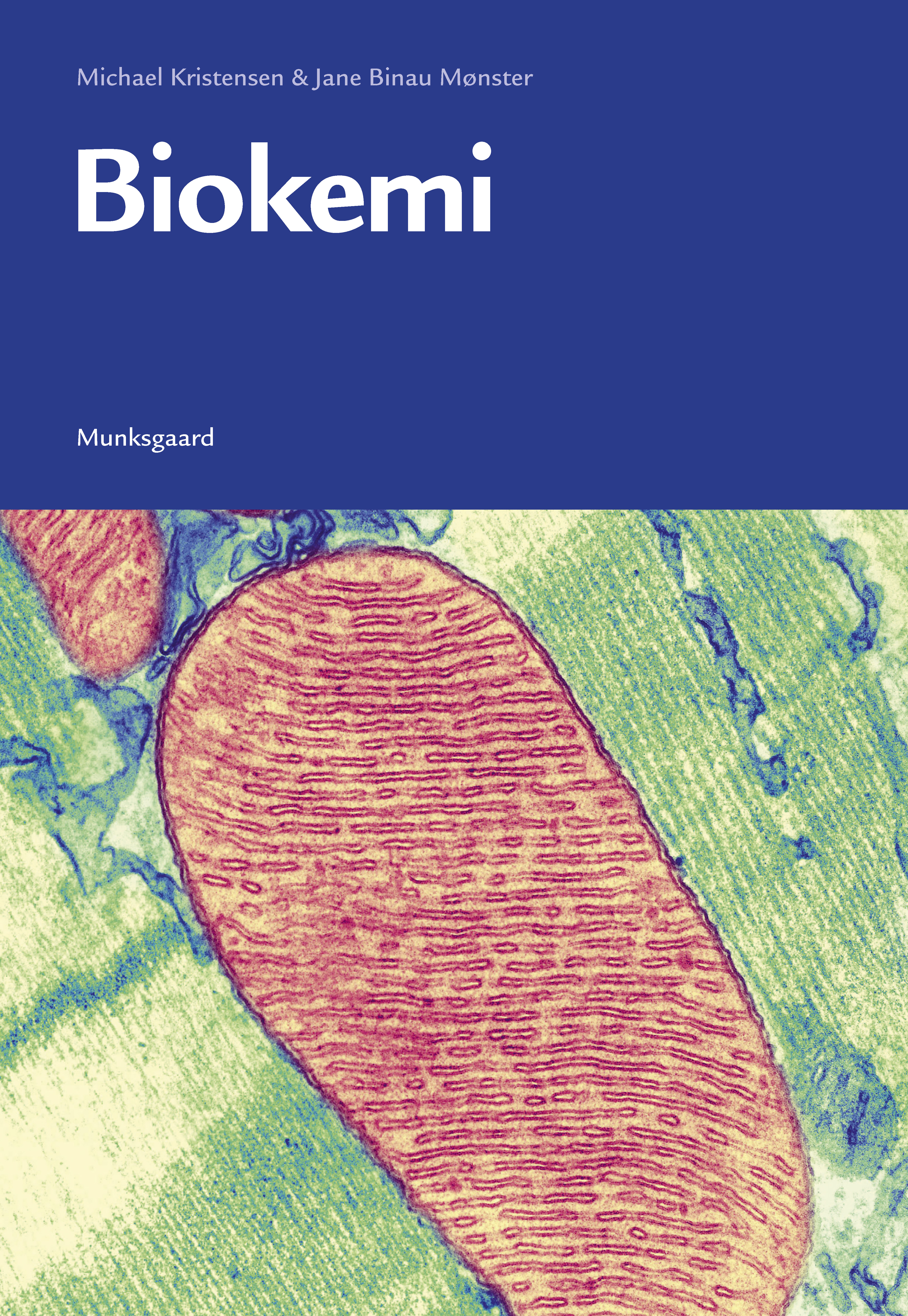 Biokemi