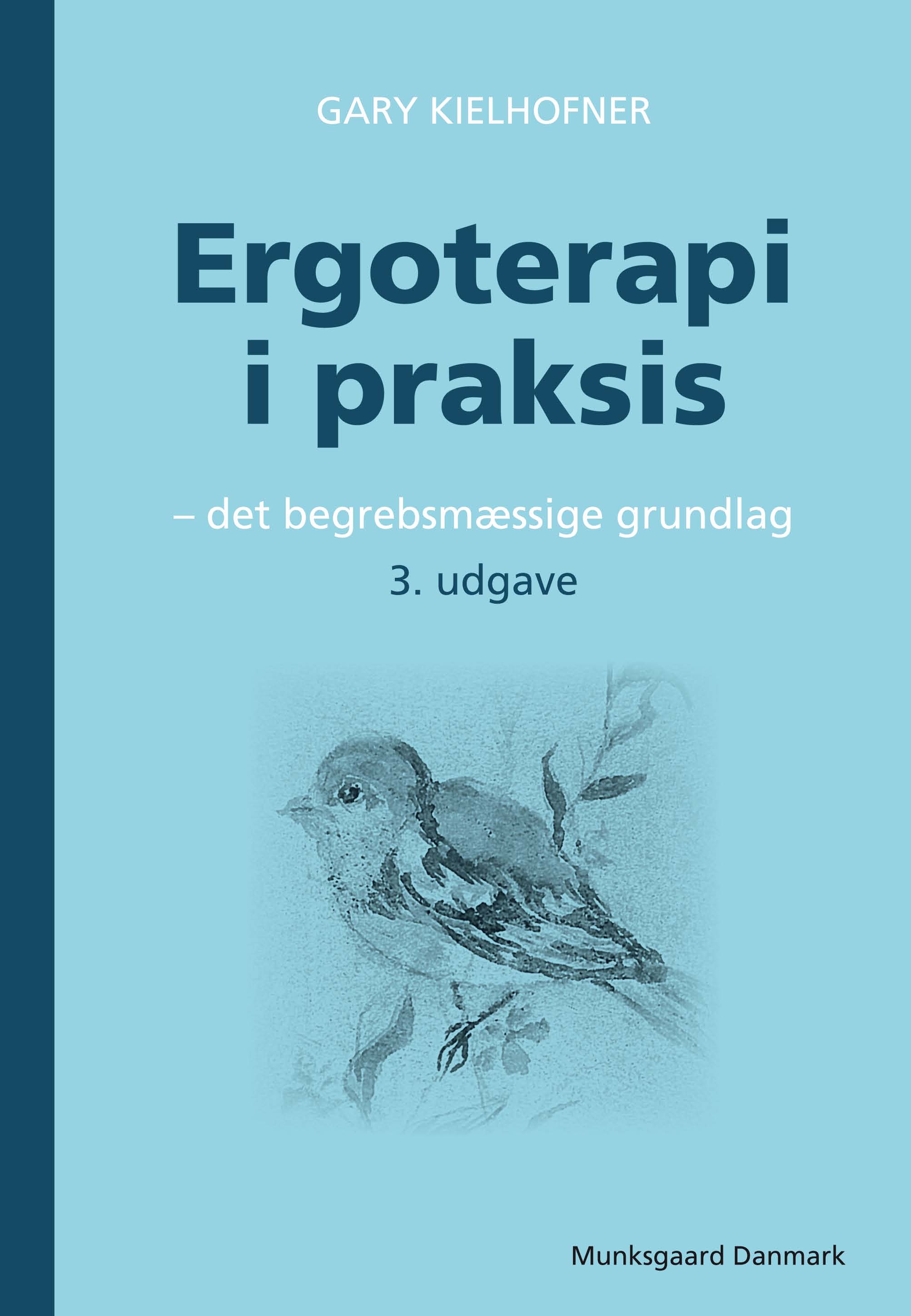 Ergoterapi i praksis